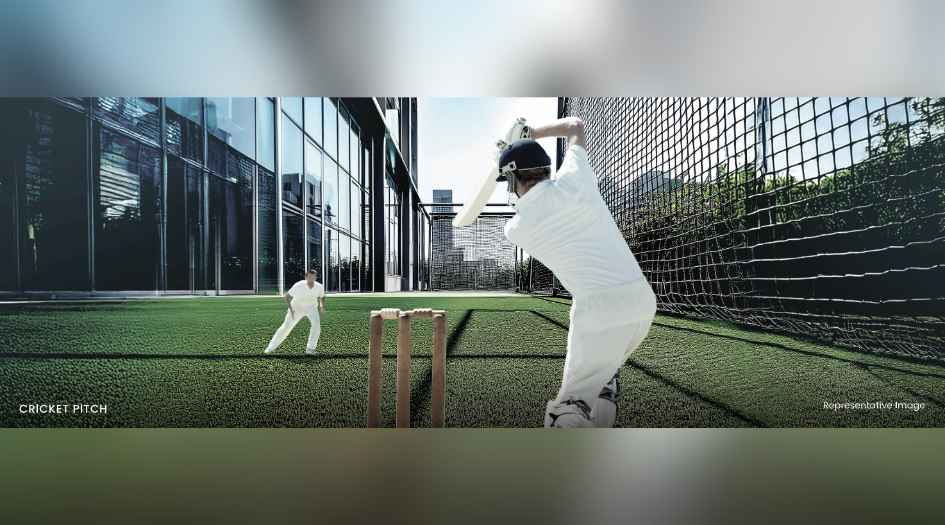 Net Cricket Pitch